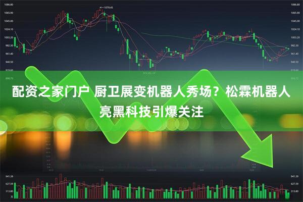 配资之家门户 厨卫展变机器人秀场？松霖机器人亮黑科技引爆关注